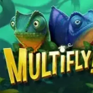 Multifly